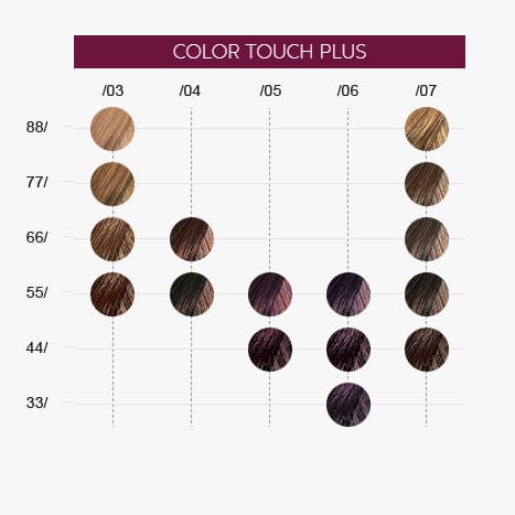 Wella Color Touch Plus 60ml 66/07