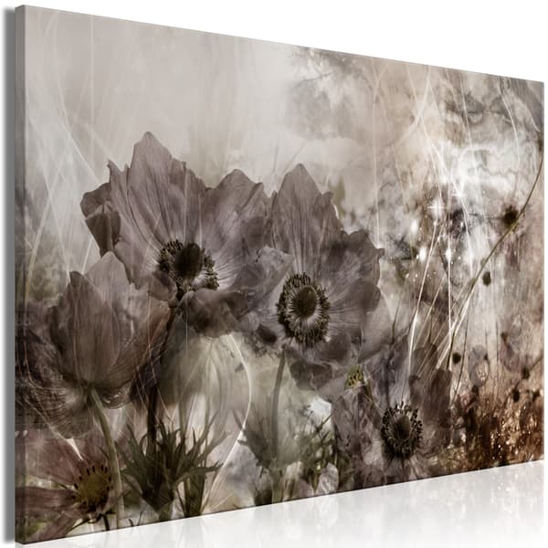 Bild - Anemoner i sepia (endelad) bred