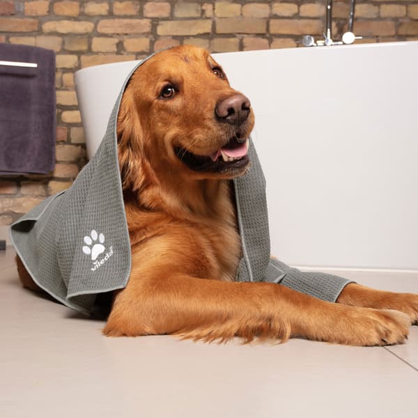 Vileda Pet Pro Mikrokuituliina M