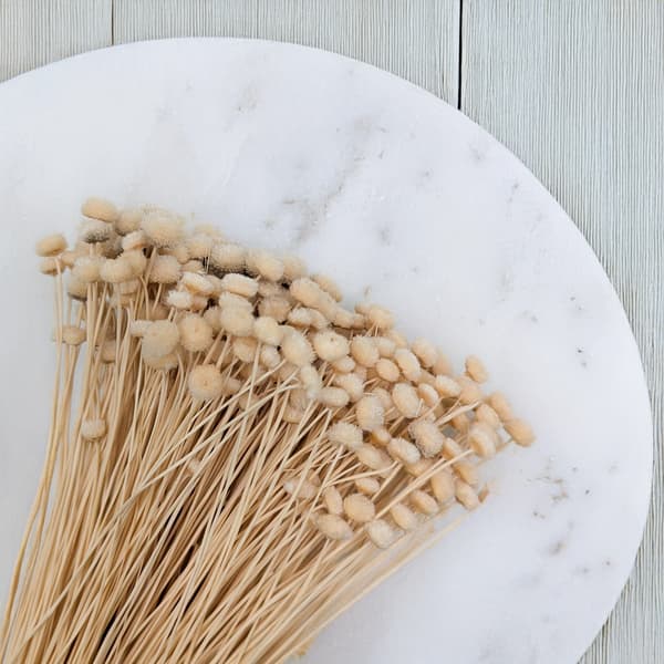 Botao Amarelino - (Amarelinho) - beige