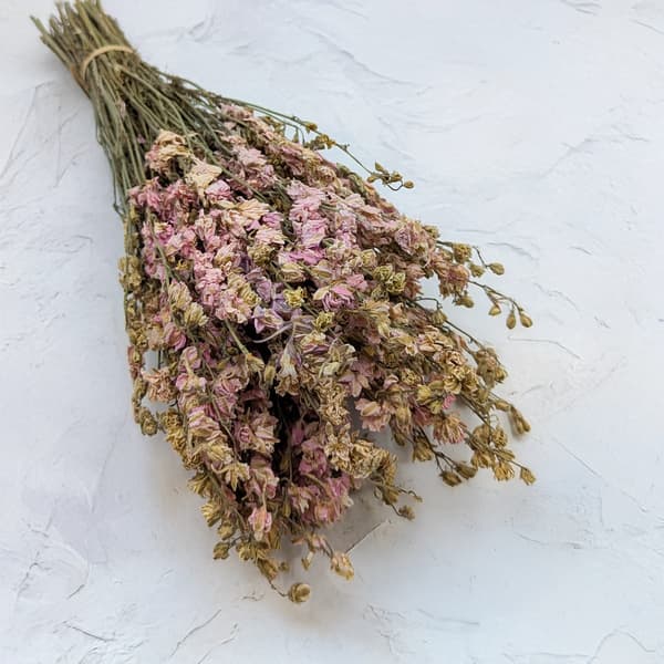 Kuivattu kukonkannus - vaaleanpunainen
