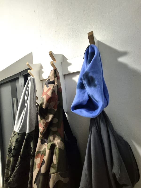 Julgransvägghängare i hallen - Igelkott
