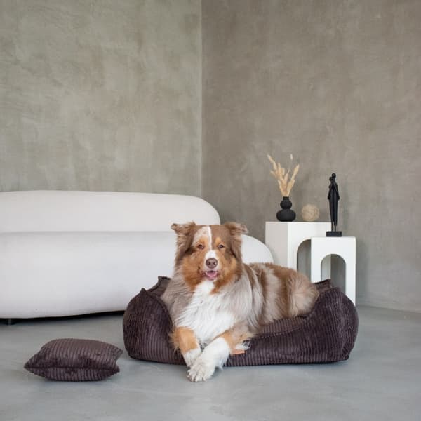 DENZOO MILANO BRUN "L" ORTOPÆDISK SENG 90x75 KRAVEGRUND SOFASOFA