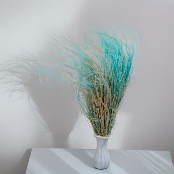 Kuivattu Stipa - Stipa pennata - Minttu