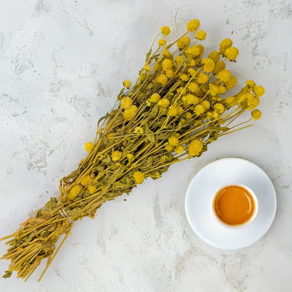 Tørret Gomphrena Globulus - (Globular Everlasting) - Gul