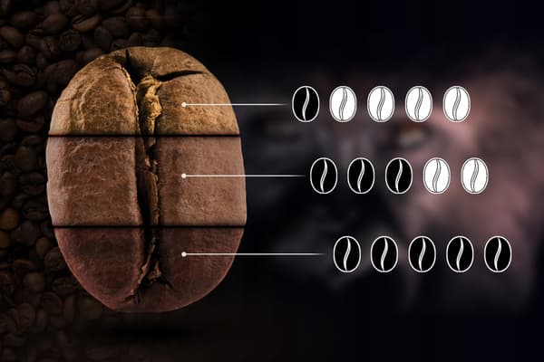 Friskristede Arabica Uganda kaffebønner 250g