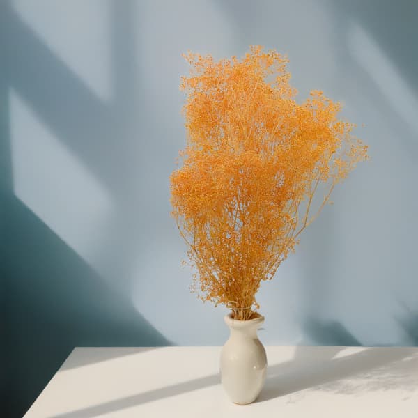 Stabiloitu kipsi MINI - (gypsophila) - Persikka