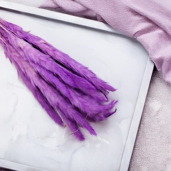 Mini Pampas-ruoho - violetti
