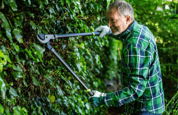 Grepp för grenar och buskar handsekatör Stalco STR 790mm universell