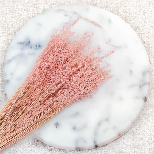 Briza Minima - Torkad Mini - Rosa
