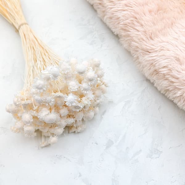 Glixia Dried BIG - (Comanthera, Gliksja) - Blekt