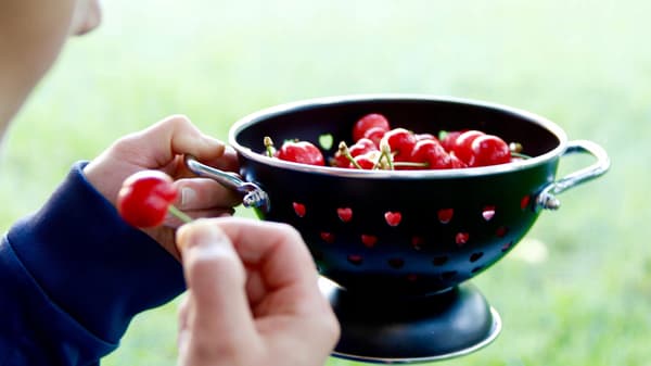 Sil, durkslag, durkslag 25 cm Rostfritt stål