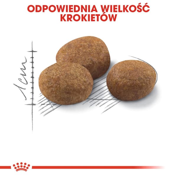 Royal Canin FHN Sterilised 7+ 10 kg torrfoder för katter