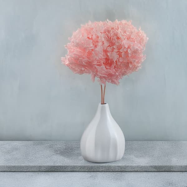 Stabiliserad hortensia (Hydrangea Cabeza) - Royal - Rosa