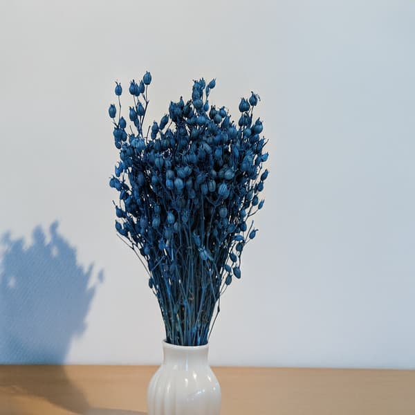 Silene - Sininen