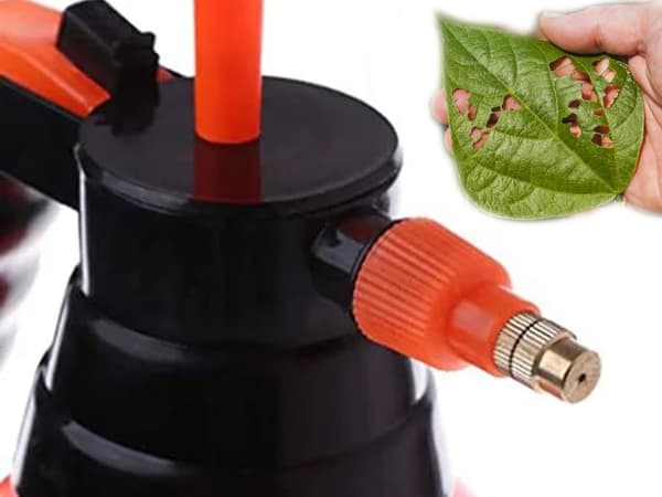 Handhållen spruta 2L 16-pack