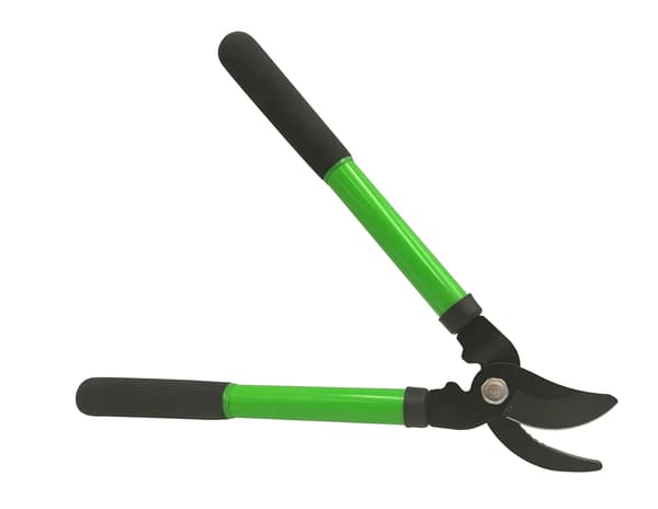 Beskärningssax för grenar och handsax, set