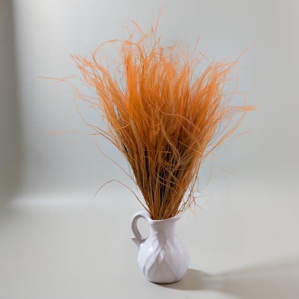 Torkad Stipa - Stipa pennata - Senapsgul