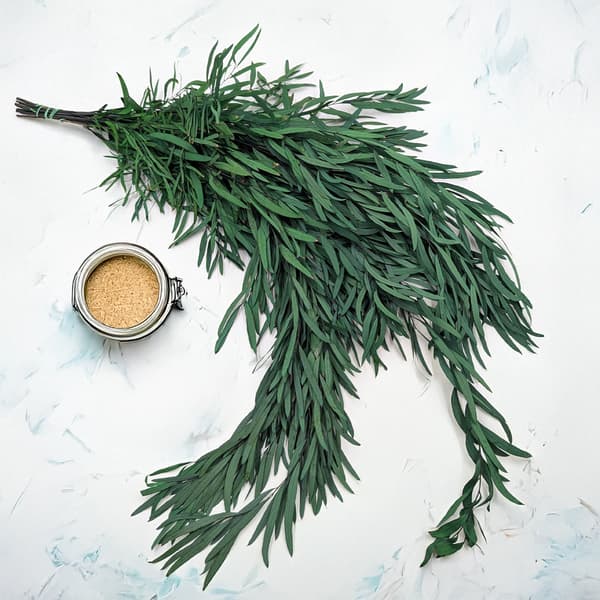 Stabiloitu eukalyptus - Nicoly - Vihreä