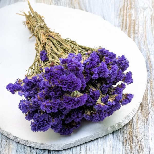 Limonium sinuatum - violetti
