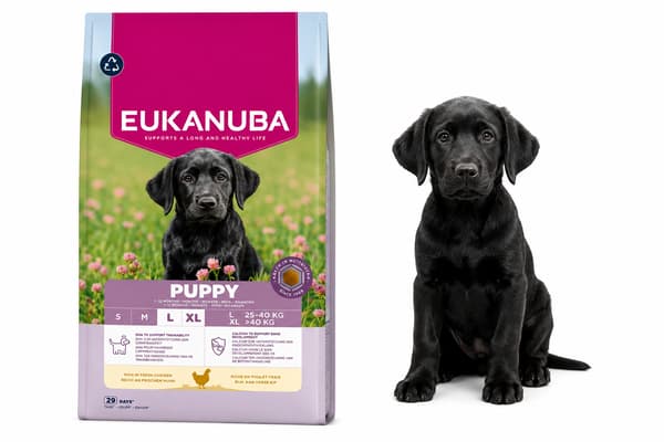 Eukanuba Dog Breeder Puppy Large Chicken Torrfoder för hundar 18 kg