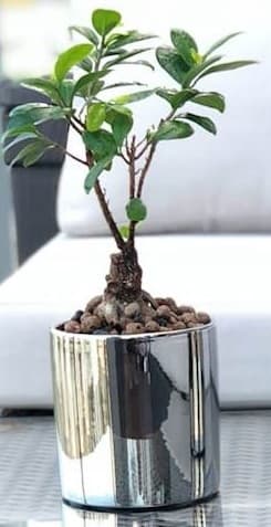 Keraaminen kansi, hopea, lieriö, 23 cm
