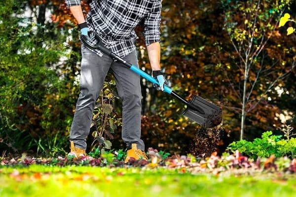 IDEAL PRO CellFast vass spade
