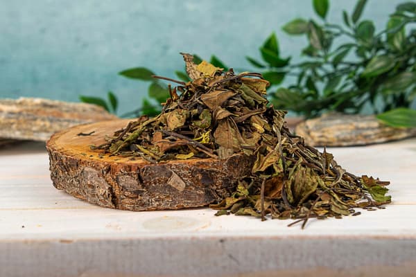 Vit jasminte JASMINE BURST pai mu tan