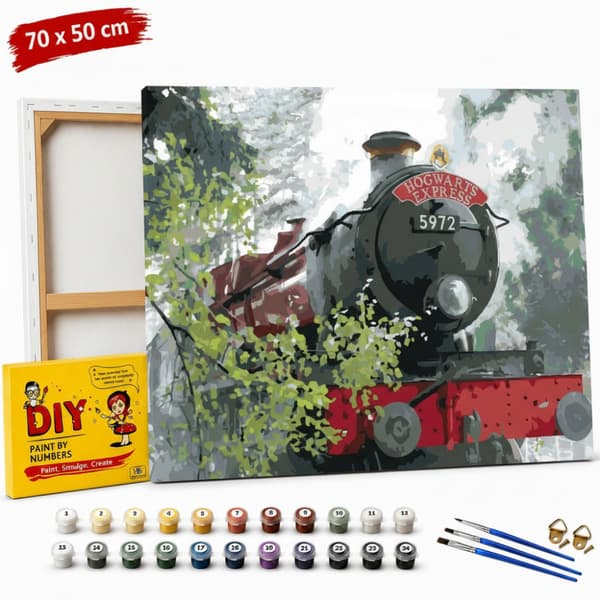Måla efter nummer-bild med ram Hogwarts Express på vägen 70x50 cm