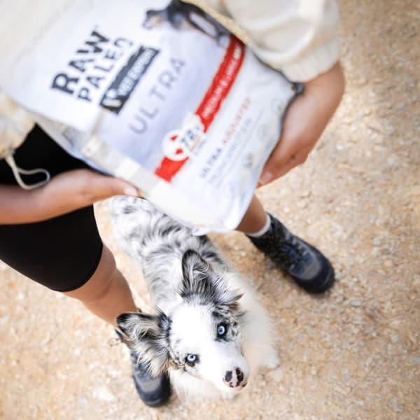 VetExpert Raw Paleo Ultra Oksekøds Tørfoder til Hunde 2 kg