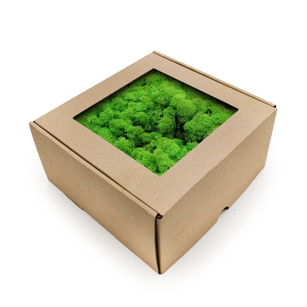 Renmossa - Norge - Gräsgrön 250g NETTO