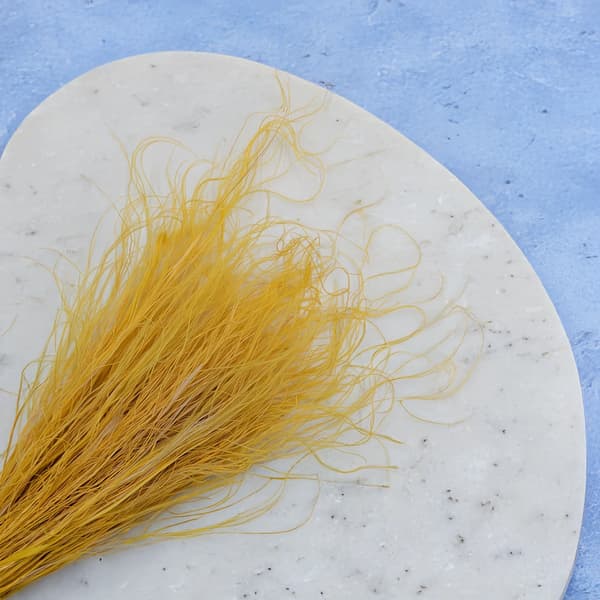 Torkad Stipa - Stipa pennata - Ingefära