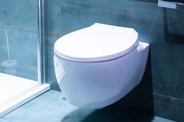 PP POGO WC-ISTIN