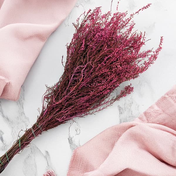 Stabiloitu kanerva (Erica) - Vaaleanpunainen