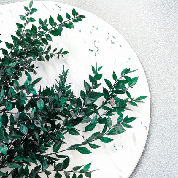 Stabiloitu Ruscus - (Ruscus) - Vihreä