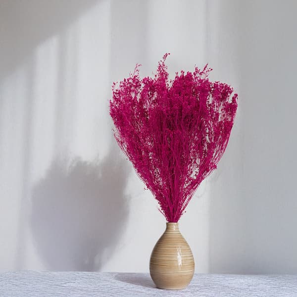Tørret kostblomst - Kost - Fuchsia