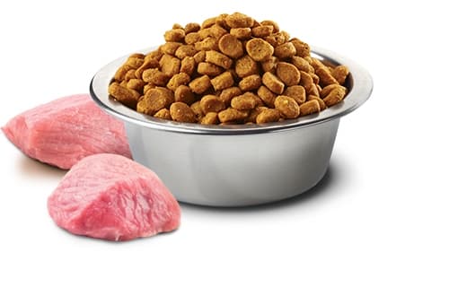 Farmina N&D Prime torrfoder för katter 5 kg kyckling och granatäpple