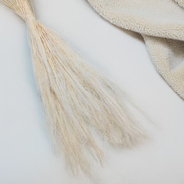Tørret hvene - Agrostis-græs - Bleget