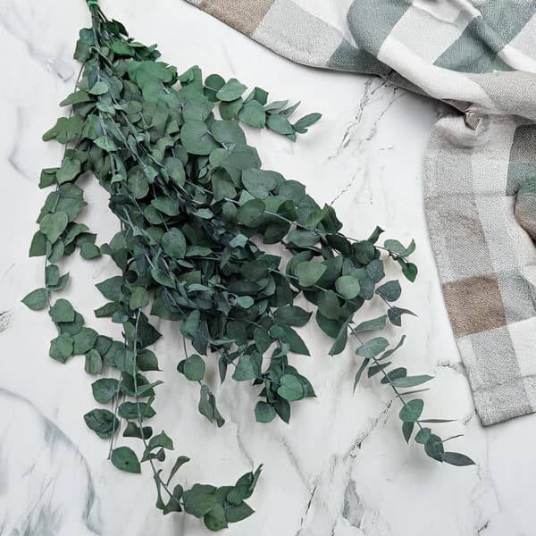 Stabiloitu eukalyptus - Stuartiana - Vihreä