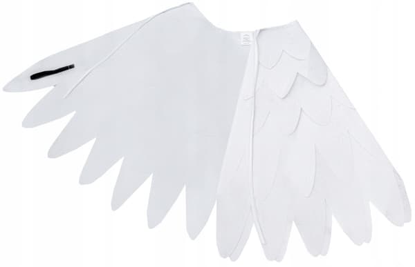 CAPE Wings EAGLE Svanefuglebal Kostumeshow