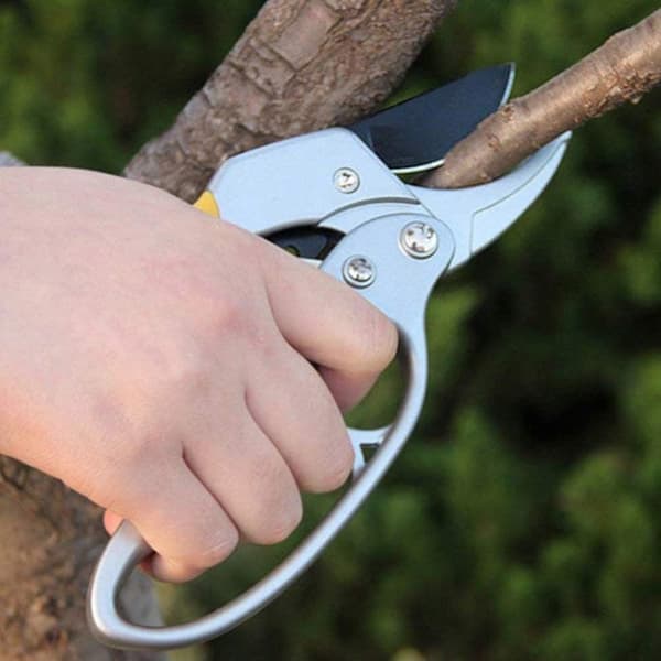 TRÄDGÅRDSBESKÄRNINGSAX FÖR HÄCKAR, TRÄD OCH BUSKAR HANDHÅLLNA