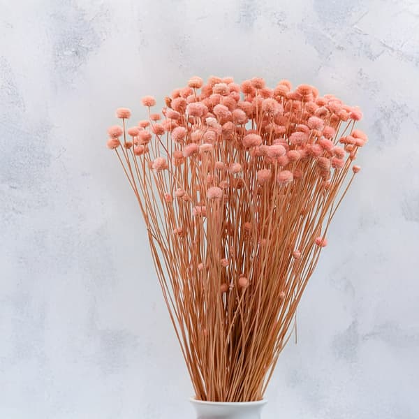 Botao Amarelino - (Amarelinho) - rosa