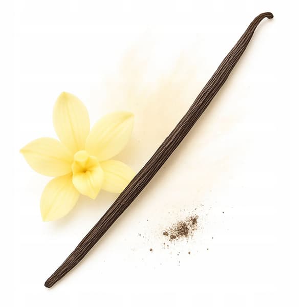 Vaniljstänger 12-14 cm 16 stycken Bourbon vanilj Madagaskar original