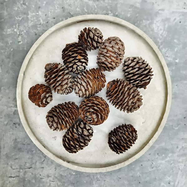 Muirii-strut - Naturlig - 100 g förpackning