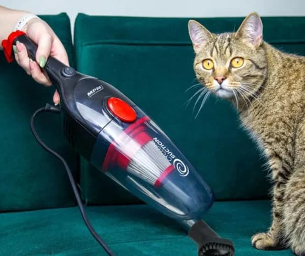 Støvsuger MPM MOD-39 Sort-rød
