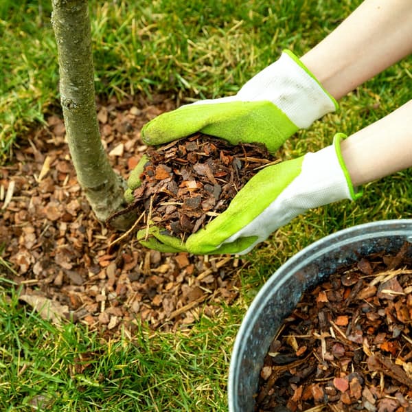 MEDIUM FYRREBARK 80L POLERET HAVEBARK 80L