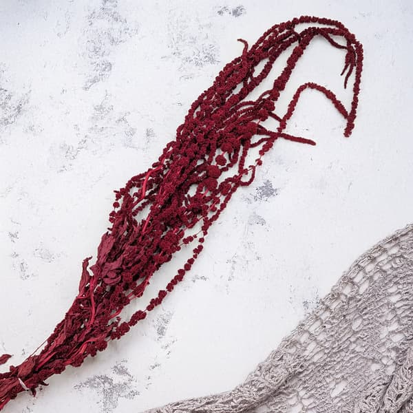 Stabiliseret amarant - Amaranth - Bourgogne