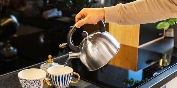 Teesa rustfrit stålkande med fløjt 2L gas induktion