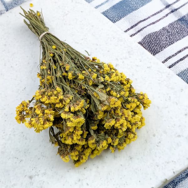 Limonium sinuatum - Keltainen