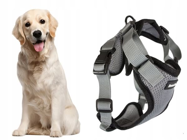 SELE FÖR HUND XL UTAN TRYCK GRÅ (100)